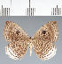  ( - CFC15814)  @11 [ ] copyright (2022) Center For Collection-Based Research Center For Collection-Based Research