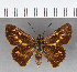  ( - CFC15846)  @13 [ ] Copyright (2018) Christer Fahraeus Center For Collection-Based Research