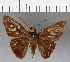  ( - CFC15886)  @11 [ ] Copyright (2018) Christer Fahraeus Center For Collection-Based Research