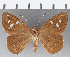  ( - CFC15888)  @11 [ ] Copyright (2019) Christer Fahraeus Center For Collection-Based Research
