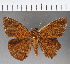  ( - CFC15889)  @11 [ ] Copyright (2019) Christer Fahraeus Center For Collection-Based Research