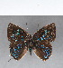 ( - CFC15919)  @11 [ ] Copyright (2018) Christer Fahraeus Center For Collection-Based Research