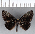 ( - CFC15953)  @11 [ ] Copyright (2018) Christer Fahraeus Center For Collection-Based Research