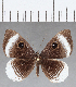  ( - CFC16027)  @11 [ ] Copyright (2019) Christer Fahraeus Center For Collection-Based Research