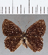  ( - CFC16035)  @11 [ ] Copyright (2019) Christer Fahraeus Center For Collection-Based Research