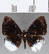  ( - CFC16037)  @11 [ ] Copyright (2019) Christer Fahraeus Center For Collection-Based Research
