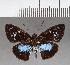  ( - CFC16060)  @11 [ ] Copyright (2018) Christer Fahraeus Center For Collection-Based Research