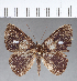  ( - CFC16072)  @11 [ ] Copyright (2018) Christer Fahraeus Center For Collection-Based Research