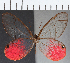  ( - CFC16134)  @11 [ ] Copyright (2019) Christer Fahraeus Center For Collection-Based Research