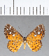  ( - CFC16204)  @11 [ ] Copyright (2018) Christer Fahraeus Center For Collection-Based Research