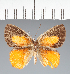 ( - CFC16214)  @11 [ ] copyright (2022) Center For Collection-Based Research Center For Collection-Based Research