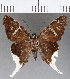  ( - CFC16345)  @11 [ ] Copyright (2018) Christer Fahraeus Center For Collection-Based Research