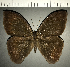  ( - CFC16391)  @11 [ ] copyright (2022) Center For Collection-Based Research Center For Collection-Based Research