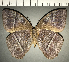  ( - CFC16395)  @11 [ ] copyright (2022) Center For Collection-Based Research Center For Collection-Based Research