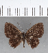  ( - CFC16505)  @11 [ ] Copyright (2018) Christer Fahraeus Center For Collection-Based Research