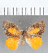  ( - CFC16530)  @11 [ ] Copyright (2019) Christer Fahraeus Center For Collection-Based Research