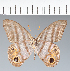  ( - CFC16678)  @11 [ ] copyright (2022) Center For Collection-Based Research Center For Collection-Based Research