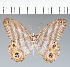  ( - CFC16682)  @11 [ ] copyright (2022) Center For Collection-Based Research Center For Collection-Based Research