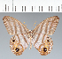  ( - CFC16684)  @11 [ ] copyright (2022) Center For Collection-Based Research Center For Collection-Based Research