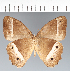  ( - CFC16747)  @11 [ ] copyright (2022) Center For Collection-Based Research Center For Collection-Based Research