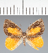  ( - CFC16816)  @11 [ ] copyright (2022) Center For Collection-Based Research Center For Collection-Based Research