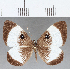  ( - CFC16839)  @11 [ ] Copyright (2019) Christer Fahraeus Center For Collection-Based Research