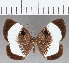  ( - CFC16840)  @11 [ ] Copyright (2019) Christer Fahraeus Center For Collection-Based Research