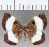  ( - CFC16843)  @11 [ ] Copyright (2019) Christer Fahraeus Center For Collection-Based Research