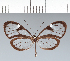  ( - CFC16852)  @11 [ ] copyright (2022) Center For Collection-Based Research Center For Collection-Based Research