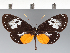  ( - CFC16886)  @11 [ ] copyright (2022) Center For Collection-Based Research Center For Collection-Based Research