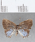  ( - CFC16902)  @11 [ ] Copyright (2019) Christer Fahraeus Center For Collection-Based Research