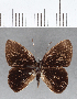  ( - CFC16907)  @11 [ ] Copyright (2019) Christer Fahraeus Center For Collection-Based Research