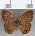  ( - CFC16933)  @11 [ ] copyright (2020) Christer Fahraeus Center For Collection-Based Research