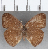  ( - CFC16939)  @11 [ ] copyright (2020) Christer Fahraeus Center For Collection-Based Research