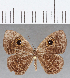  ( - CFC17009)  @11 [ ] Copyright (2019) Christer Fahraeus Center For Collection-Based Research