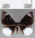  ( - CFC17041)  @11 [ ] Copyright (2019) Christer Fahraeus Center For Collection-Based Research
