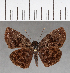  ( - CFC17127)  @14 [ ] Copyright (2018) Christer Fahraeus Center For Collection-Based Research