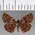  ( - CFC17129)  @14 [ ] Copyright (2018) Christer Fahraeus Center For Collection-Based Research