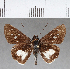  ( - CFC17140)  @11 [ ] Copyright (2018) Christer Fahraeus Center For Collection-Based Research