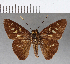  ( - CFC17160)  @11 [ ] Copyright (2018) Christer Fahraeus Center For Collection-Based Research