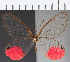  ( - CFC17251)  @11 [ ] Copyright (2019) Christer Fahraeus Center For Collection-Based Research
