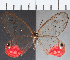  ( - CFC17252)  @11 [ ] Copyright (2019) Christer Fahraeus Center For Collection-Based Research