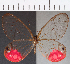  ( - CFC17254)  @11 [ ] Copyright (2019) Christer Fahraeus Center For Collection-Based Research