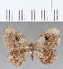  ( - CFC17402)  @11 [ ] Copyright (2019) Christer Fahraeus Center For Collection-Based Research