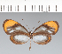  ( - CFC17431)  @11 [ ] copyright (2022) Center For Collection-Based Research Center For Collection-Based Research