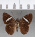  ( - CFC17442)  @13 [ ] Copyright (2018) Christer Fahraeus Center For Collection-Based Research