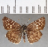  ( - CFC17502)  @11 [ ] Copyright (2018) Christer Fahraeus Center For Collection-Based Research