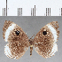  ( - CFC17503)  @11 [ ] Copyright (2019) Christer Fahraeus Center For Collection-Based Research