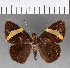  ( - CFC17556)  @11 [ ] Copyright (2018) Christer Fahraeus Center For Collection-Based Research