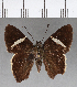  ( - CFC17560)  @11 [ ] Copyright (2018) Christer Fahraeus Center For Collection-Based Research